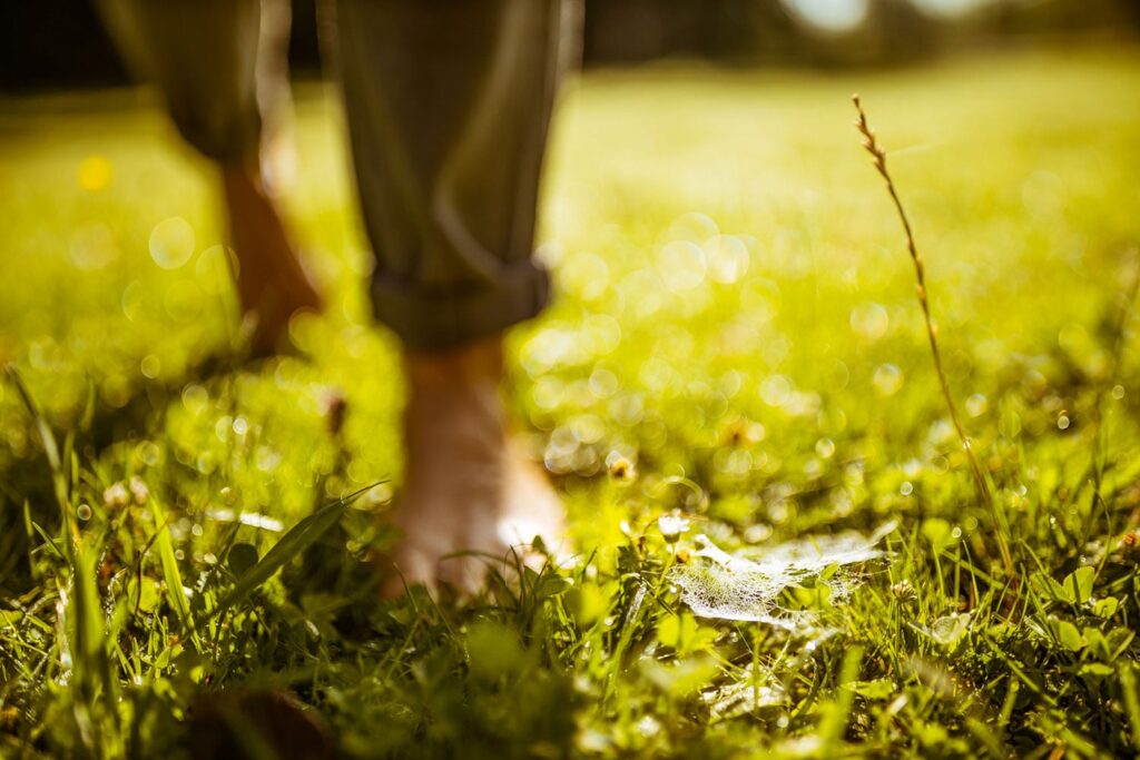 sommerfrische-kultur-web-09(C)wieneralpen-fueloep-www